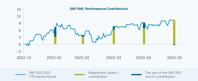 S&P 500: Performance Contribution